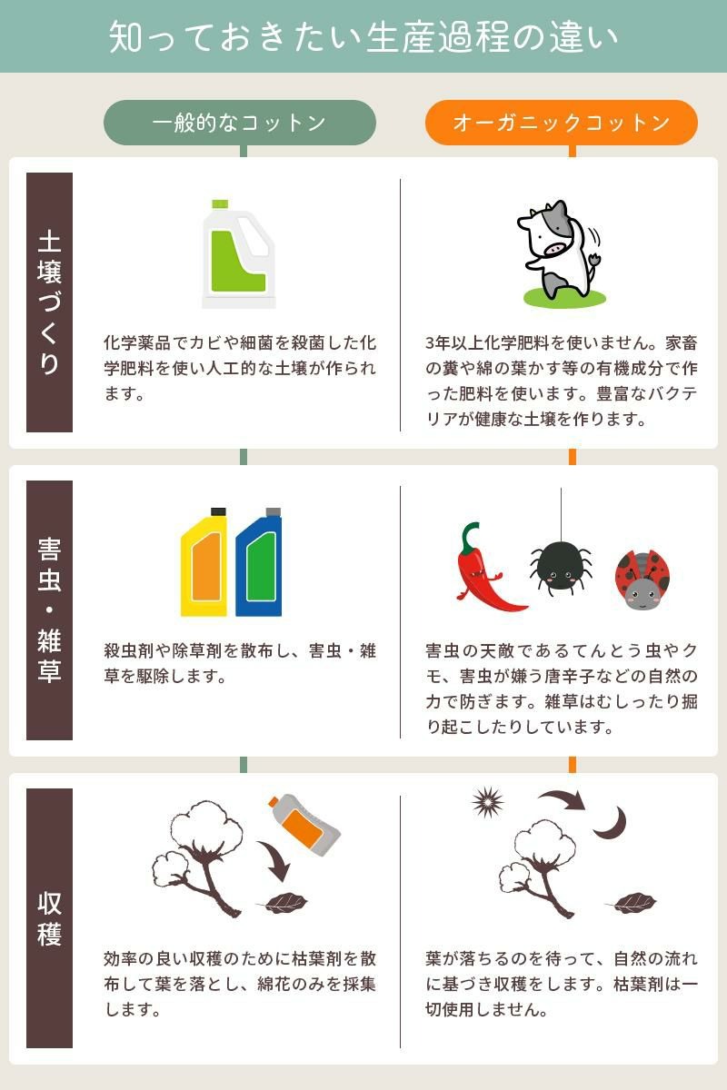 一般的なコットンは土壌づくりから収穫まで化学肥料や防虫剤等使いますが、オーガニックコットンは自然の力を使います。